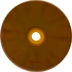 U2 pineapple remixes for propaganda polygram