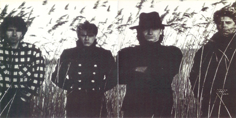 U2 the concert