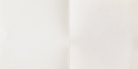 U2 the electric co papillon