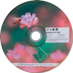 U2 The Best Of 1980-1990 & B-Sides